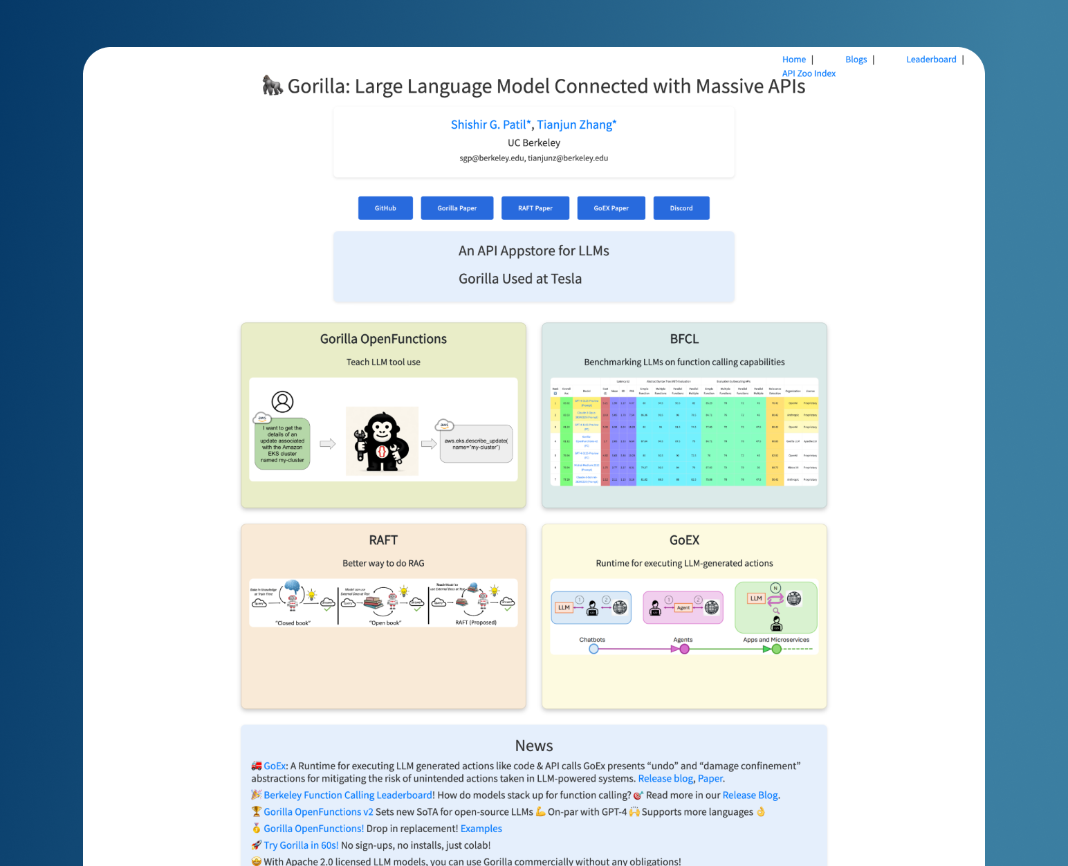 Gorila LLM Project